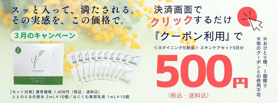 ととのえる化粧水＋はぐくむ美容乳液セット