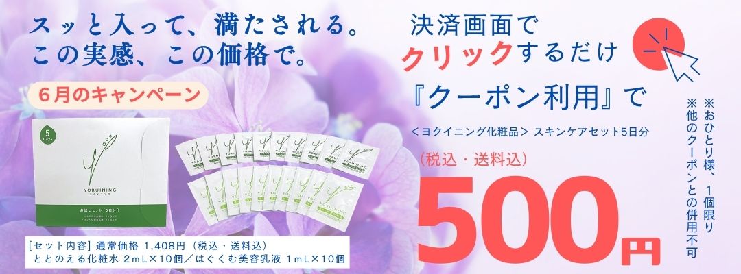 ととのえる化粧水＋はぐくむ美容乳液セット