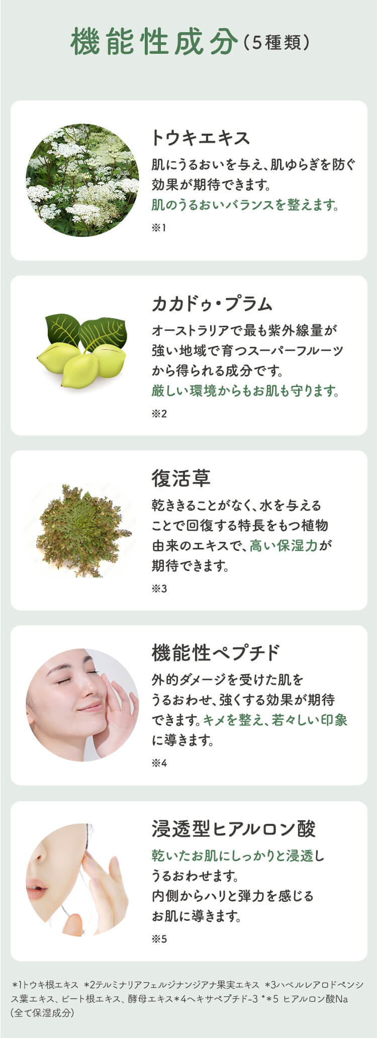 機能性成分(5種類)